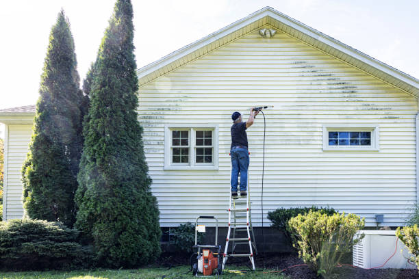 Best Deck Cleaning Services  in Fanning Springs, FL