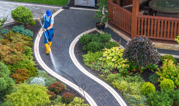 Best House Pressure Washing  in Fanning Springs, FL