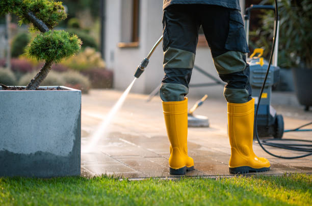 Best Deck Pressure Washing  in Fanning Springs, FL